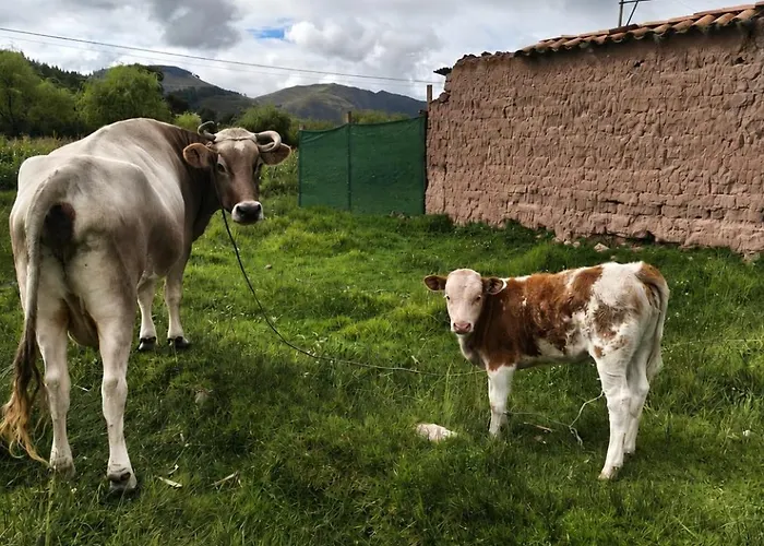 Chalé Andina Paz, Naturaleza Y Tradición Huarmillacta